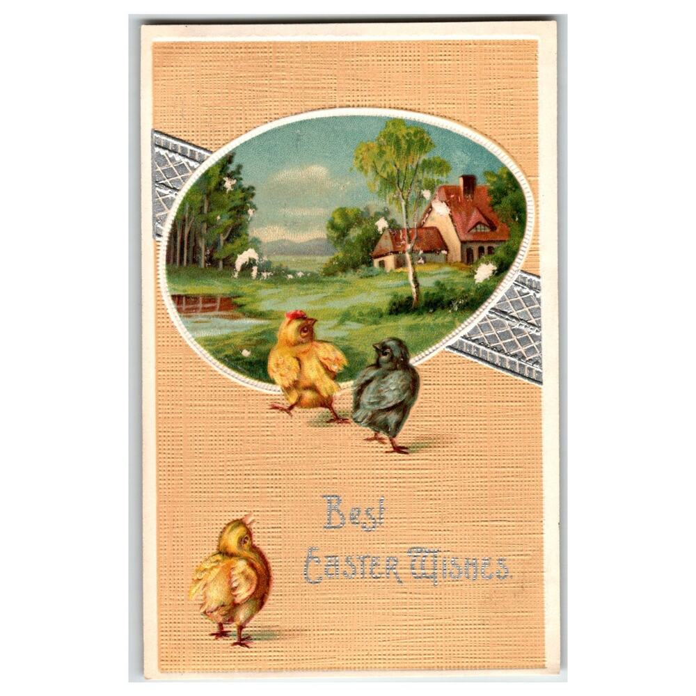 Vintage Embossed Easter Postcard Chicks Farmhouse International Art Pub Co